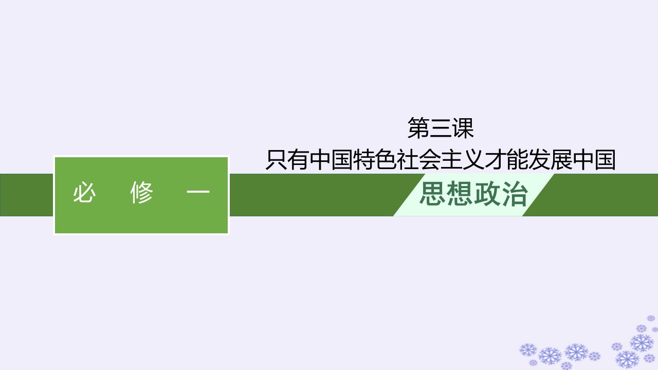 适用于新高考新教材2025届高考政治一轮总复习必修1第3课只有中国特色社会主义才能发展中国课件