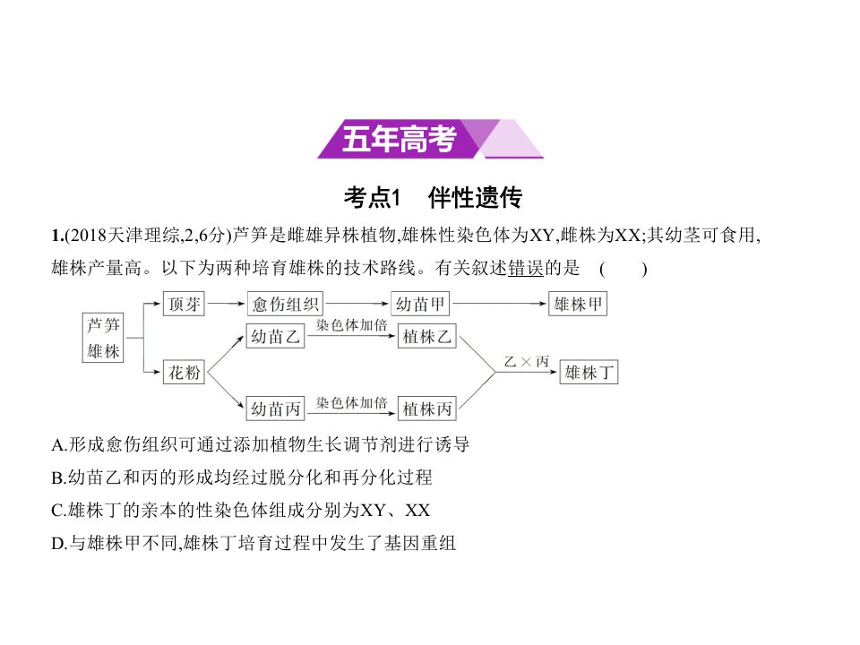 专题13伴性遗传与人类遗传病.pptx课件