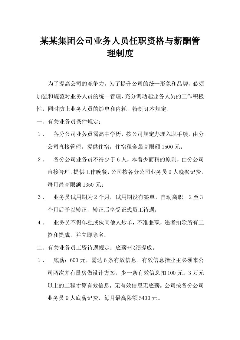 某某集团公司业务人员任职资格与薪酬管理制度