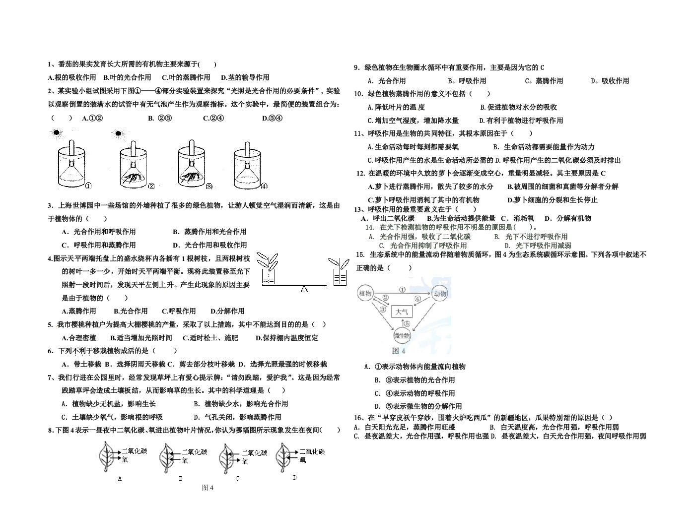 绿色植物的生理过程