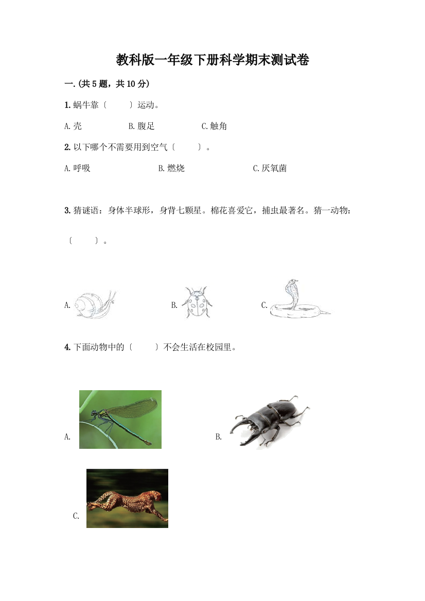 一年级下册科学期末测试卷-精品(B卷)