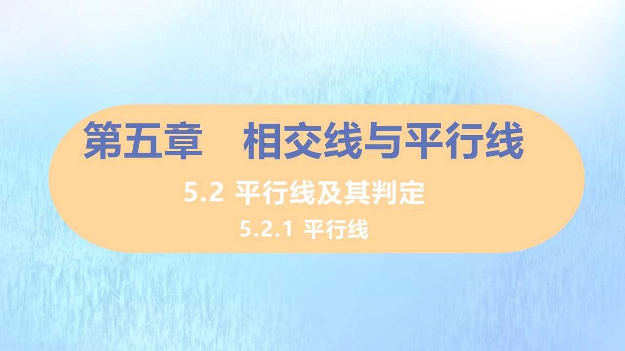 七年级数学下册第五章相交线与平行线5.2平行线及其判定5.2.1平行线习题课件新版新人教版