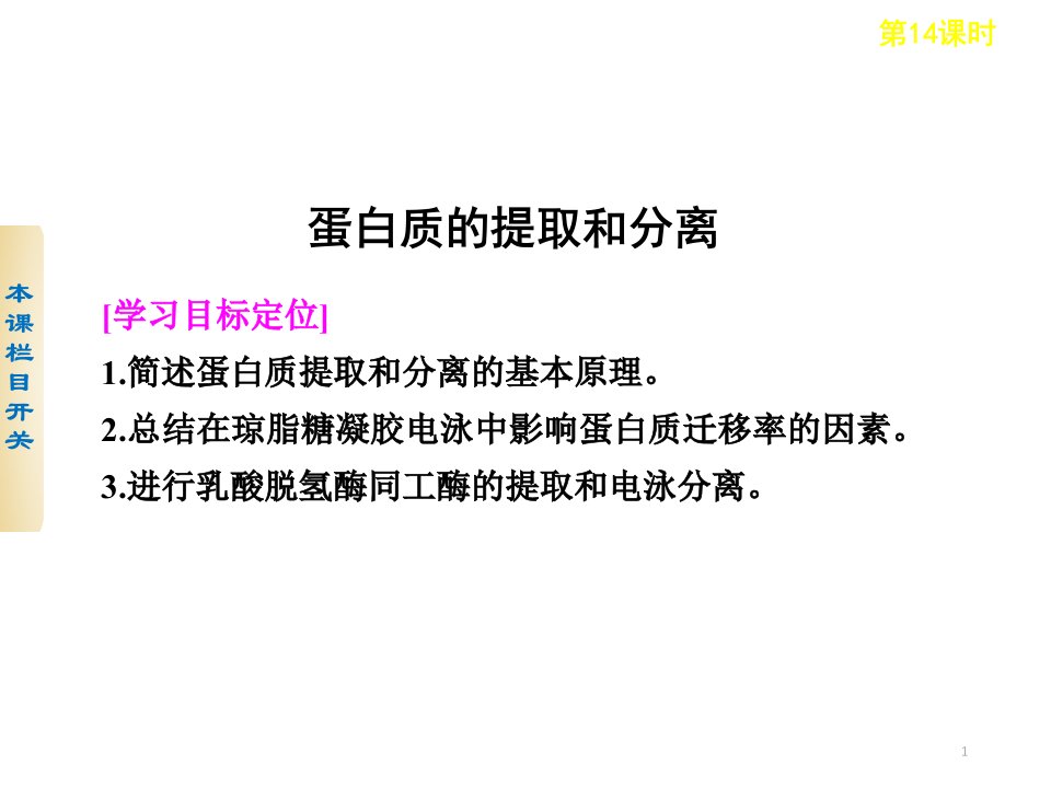 蛋白质的提取和分离ppt课件