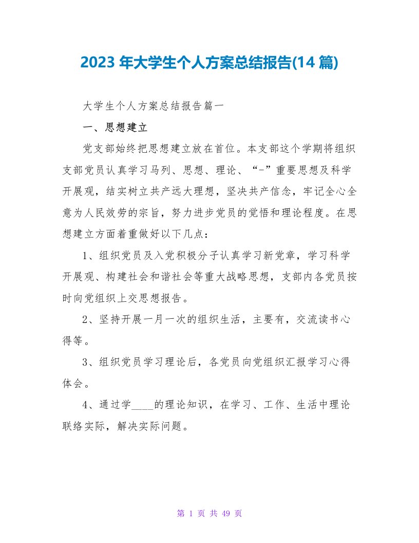 2023年大学生个人计划总结报告(14篇)