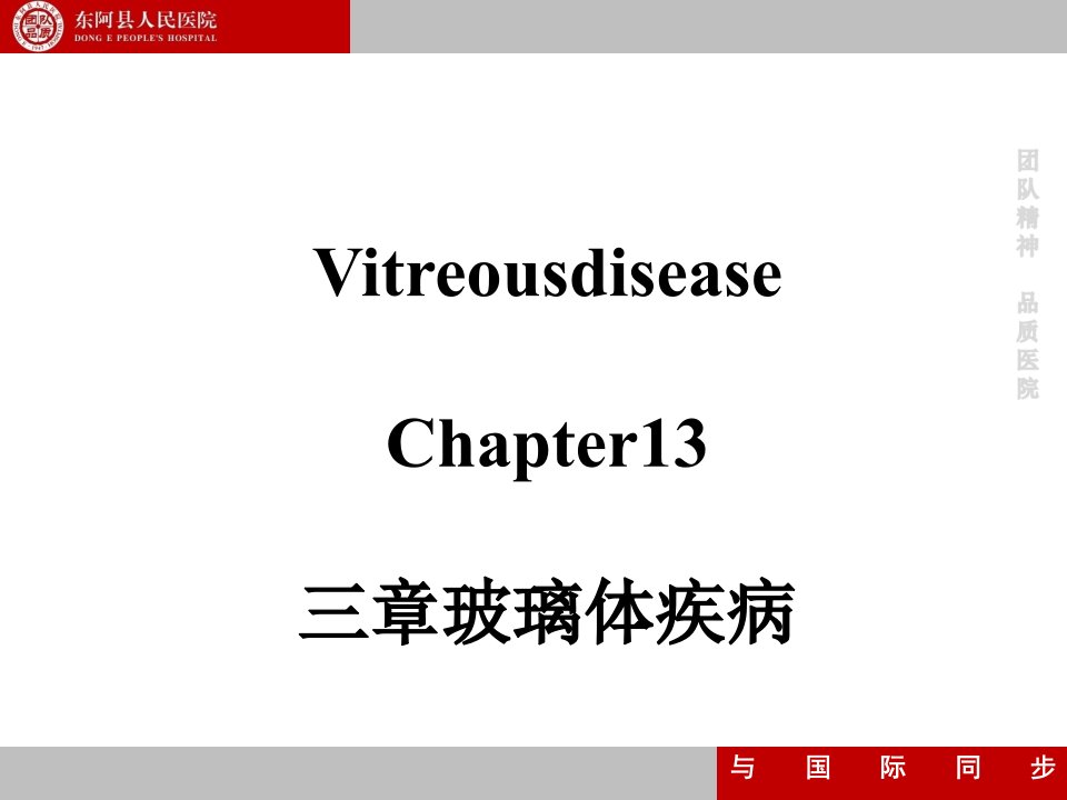 徐静十三、十四玻璃体疾病视网膜病