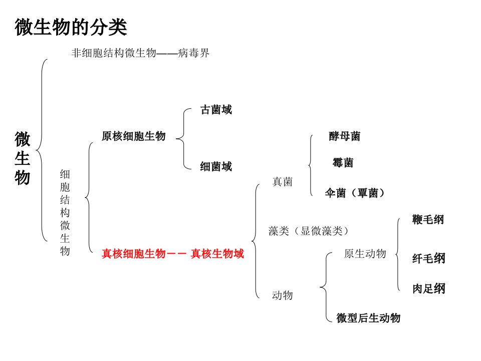 水处理生物学第四章ppt课件