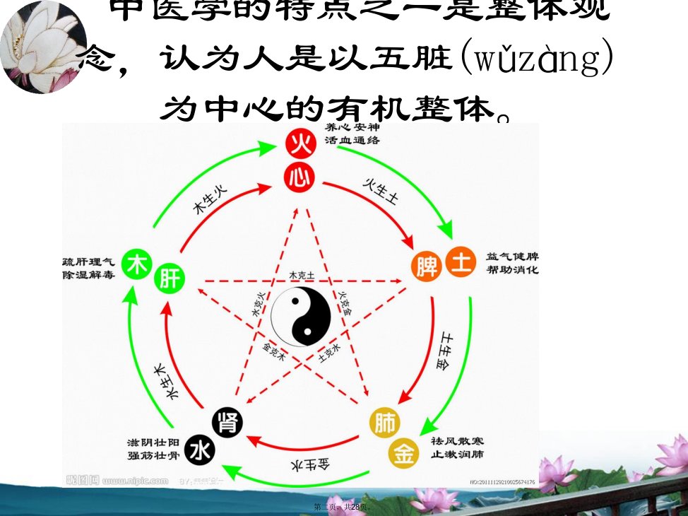 中医基础理论之五脏六腑演示教学