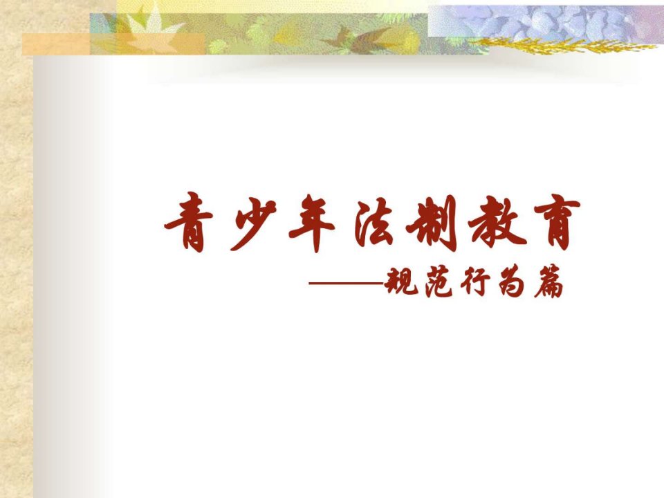 小学生法制教育PPT.ppt