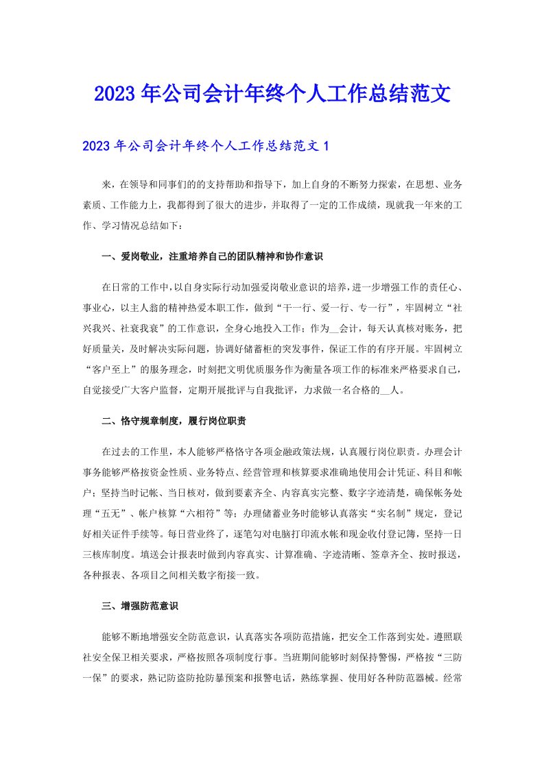 公司会计年终个人工作总结范文