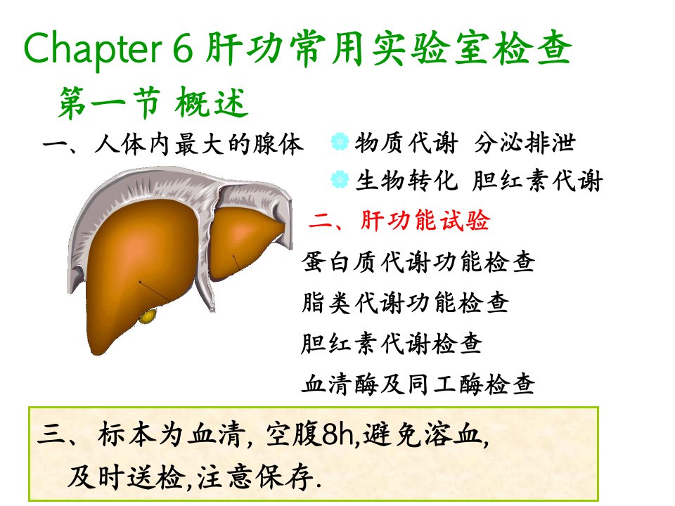 第六章_肝功能检查