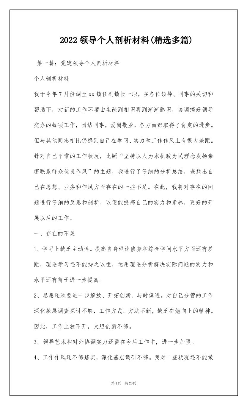 2022领导个人剖析材料(精选多篇)