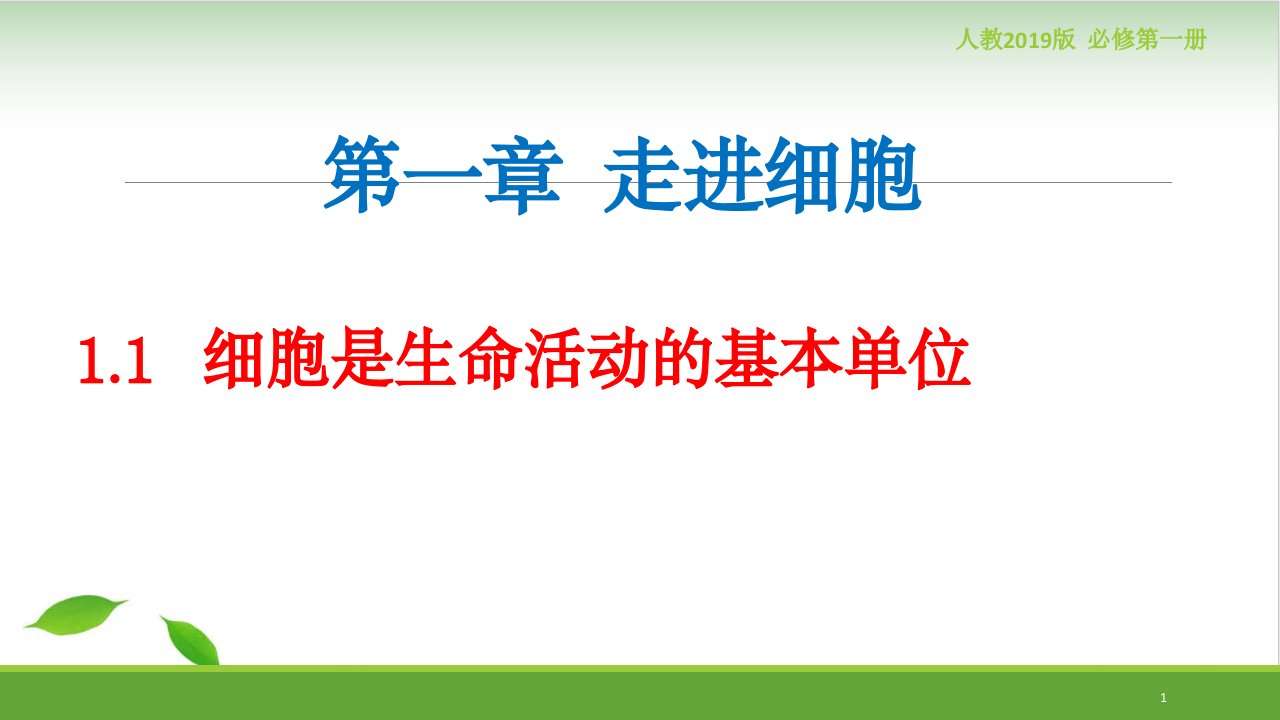 生物第一章第一节细胞是生命活动的基本单位课件