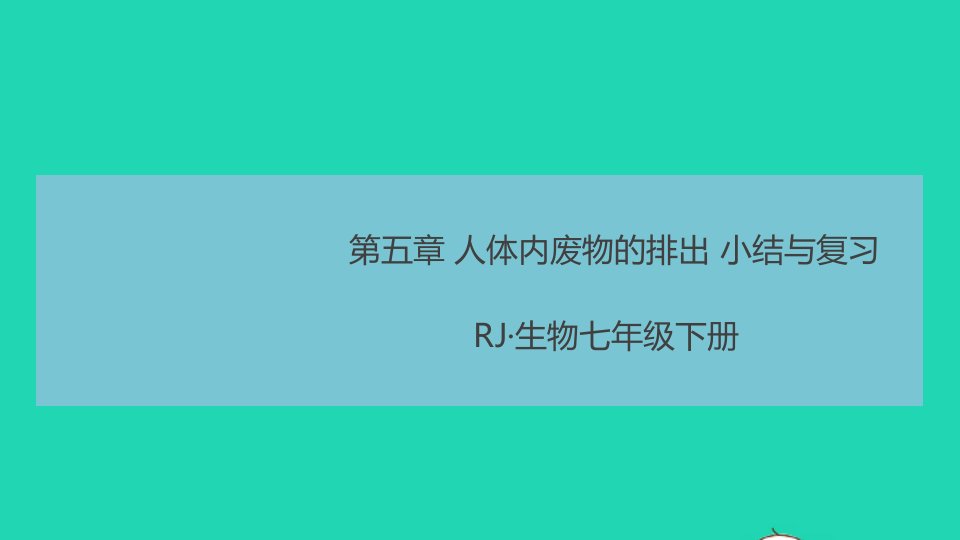 七年级生物下册第四单元生物圈中的人第五章人体内废物的排除小结与复习作业课件新版新人教版