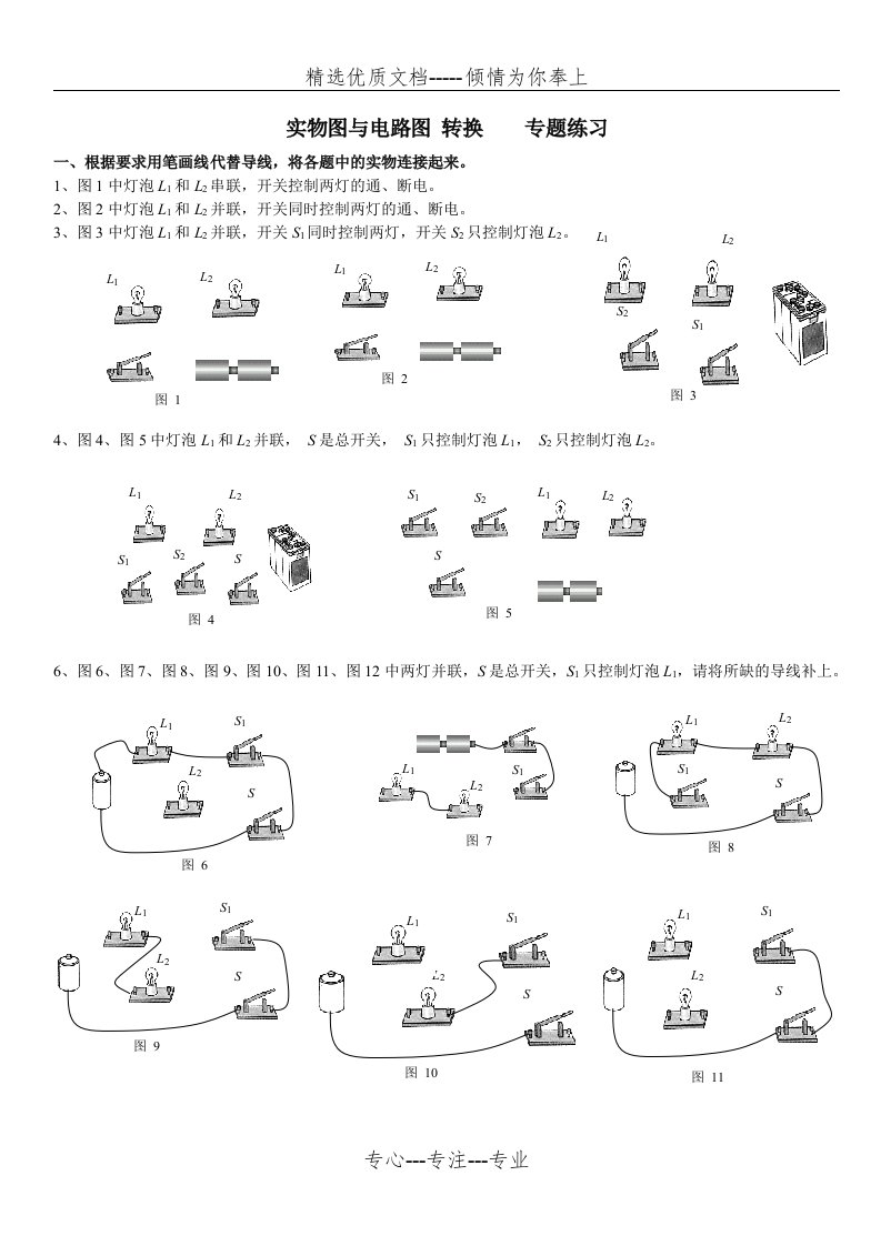 实物图与电路图转换---专题训练(共5页)