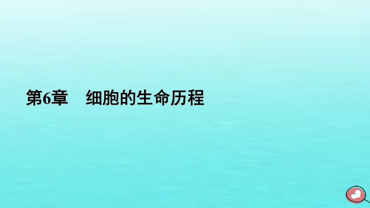 新教材2023年高中生物第6章细胞的生命历程第3节细胞的衰老和死亡课件新人教版必修1