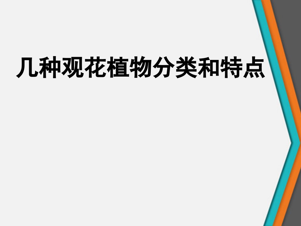 几种观花植物分类和特点