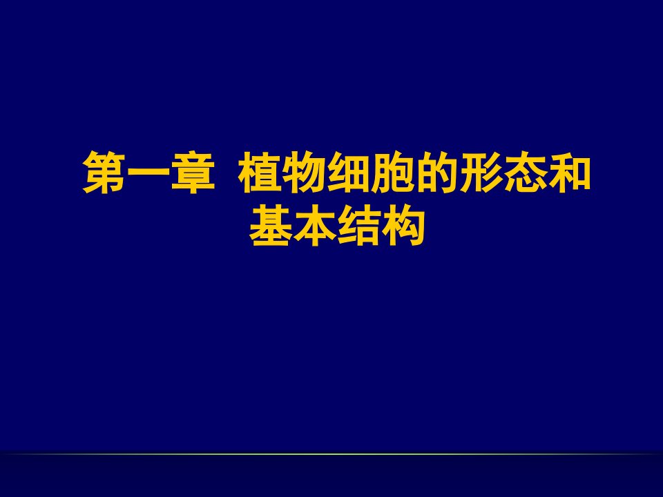 植物细胞基本结构