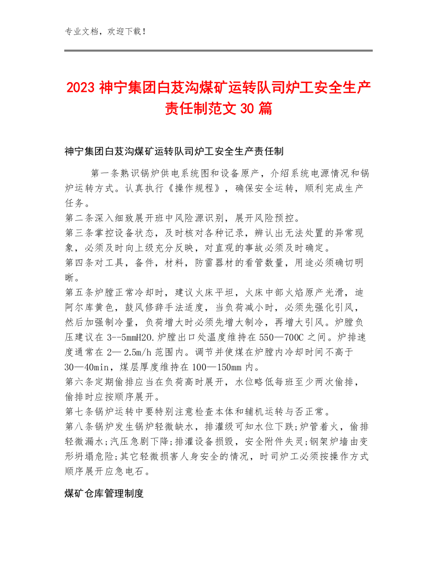 2023神宁集团白芨沟煤矿运转队司炉工安全生产责任制范文30篇