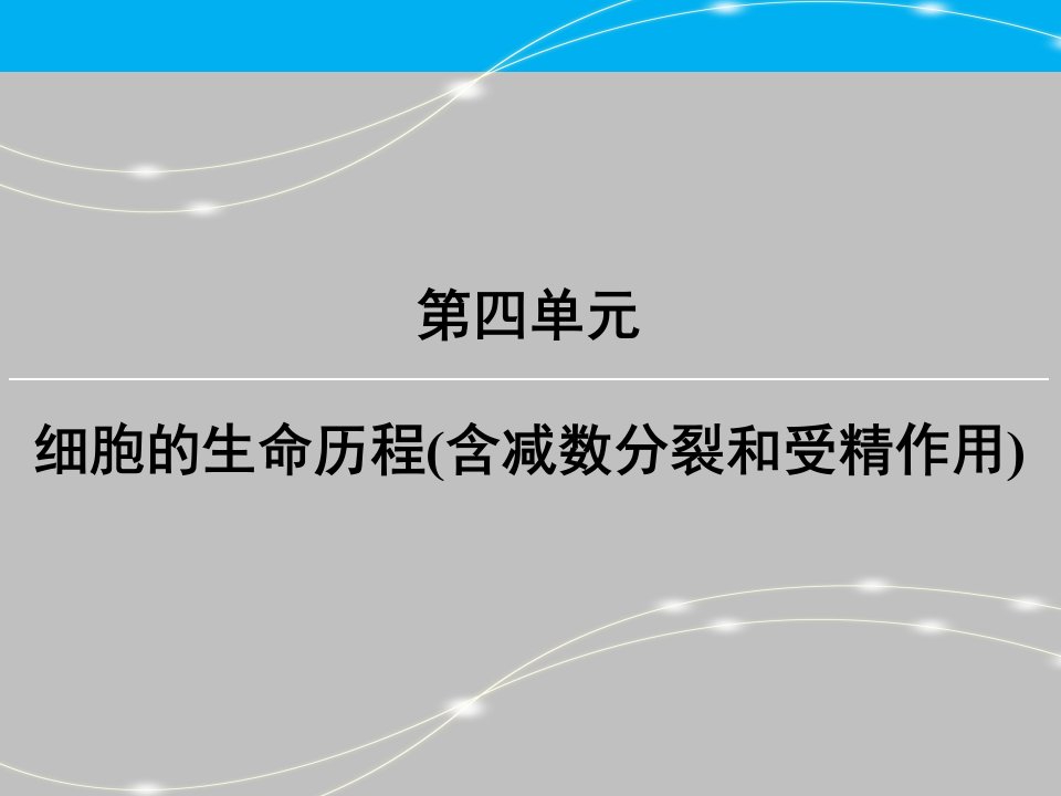 创新大课堂一轮复习人教版生物第四单元