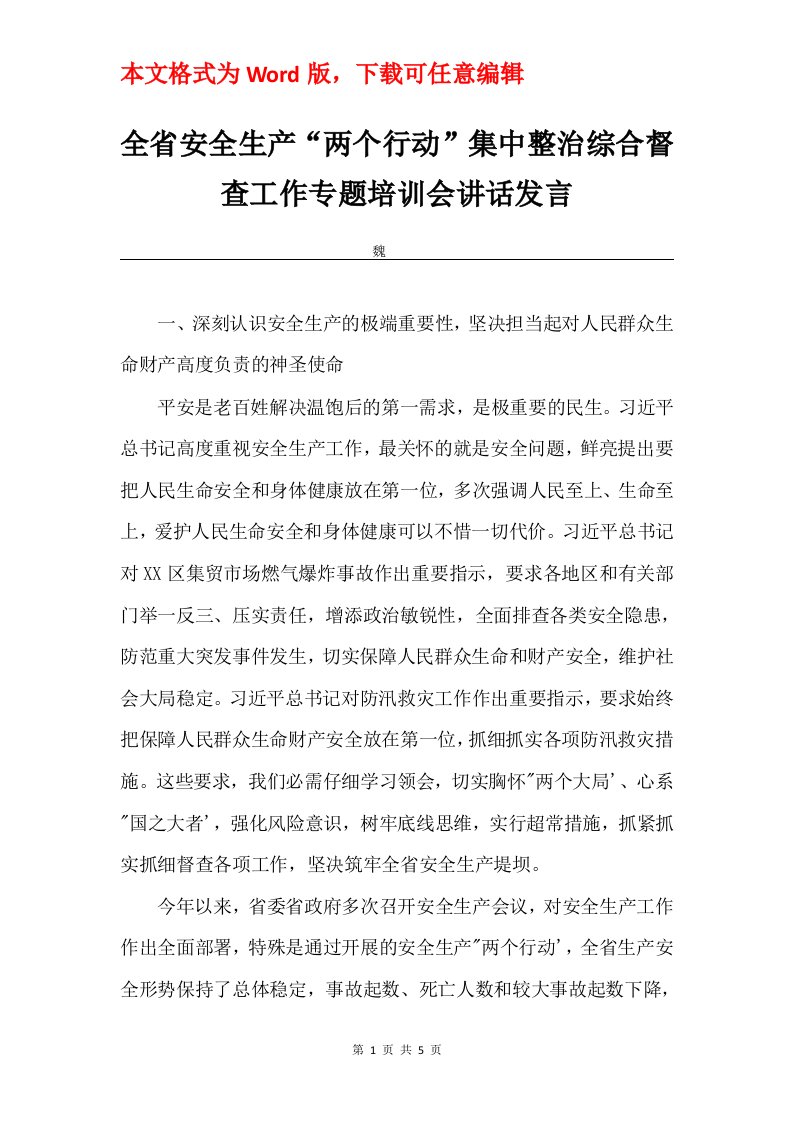 全省安全生产两个行动集中整治综合督查工作专题培训会讲话发言