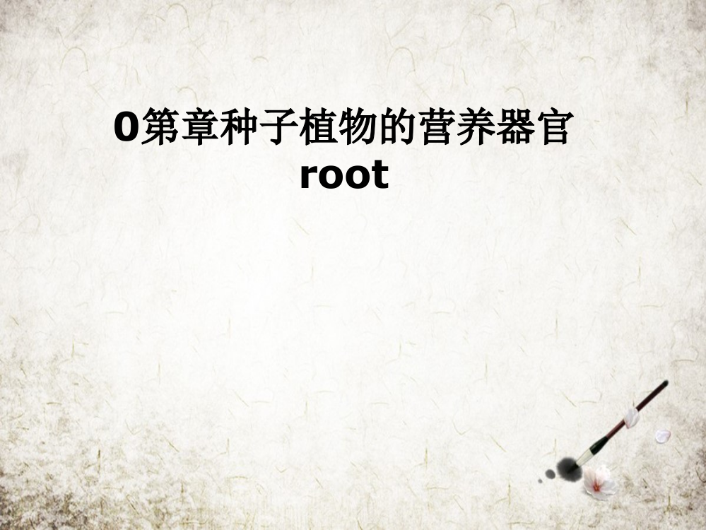 第章种子植物的营养器官root