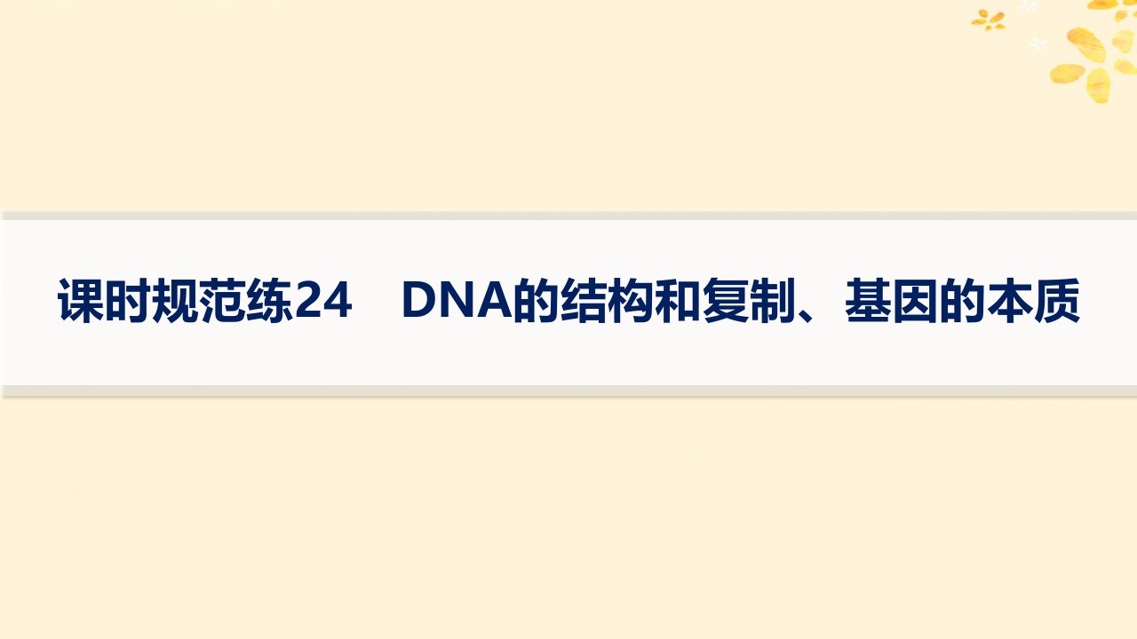 适用于新高考新教材备战2025届高考生物一轮总复习第6单元遗传的分子基础课时规范练24DNA的结构和复制基因的本质课件