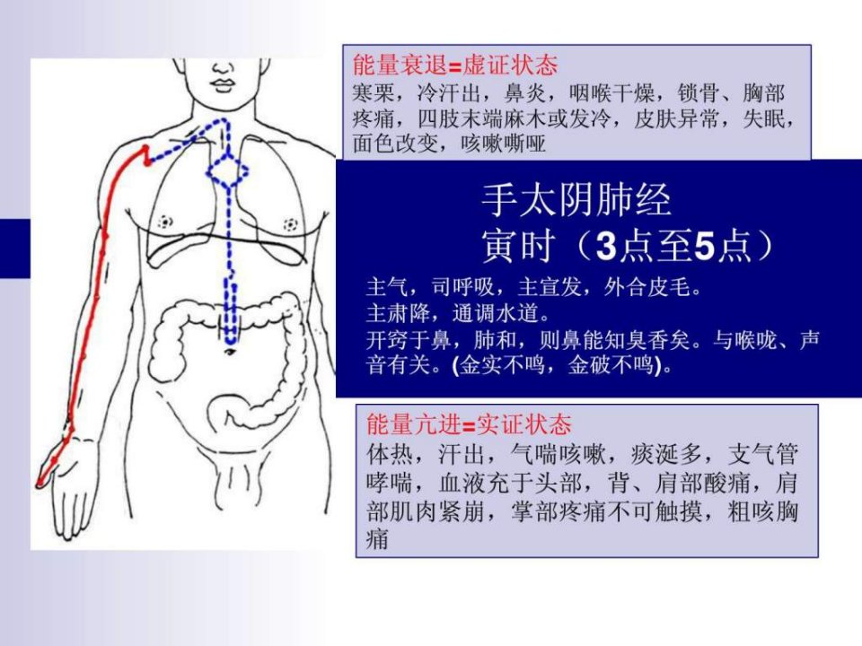 十二经络走向图医药卫生专业资料