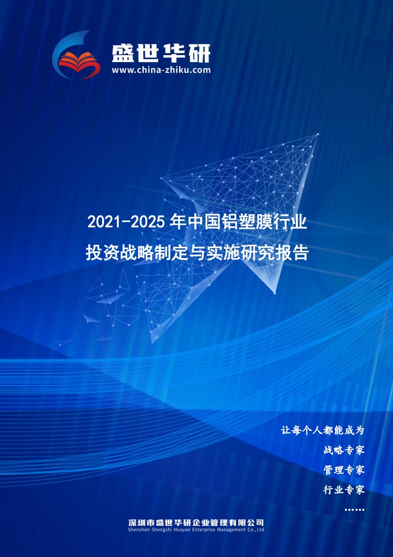 2021-2025年中国铝塑膜行业投资战略制定与实施研究报告