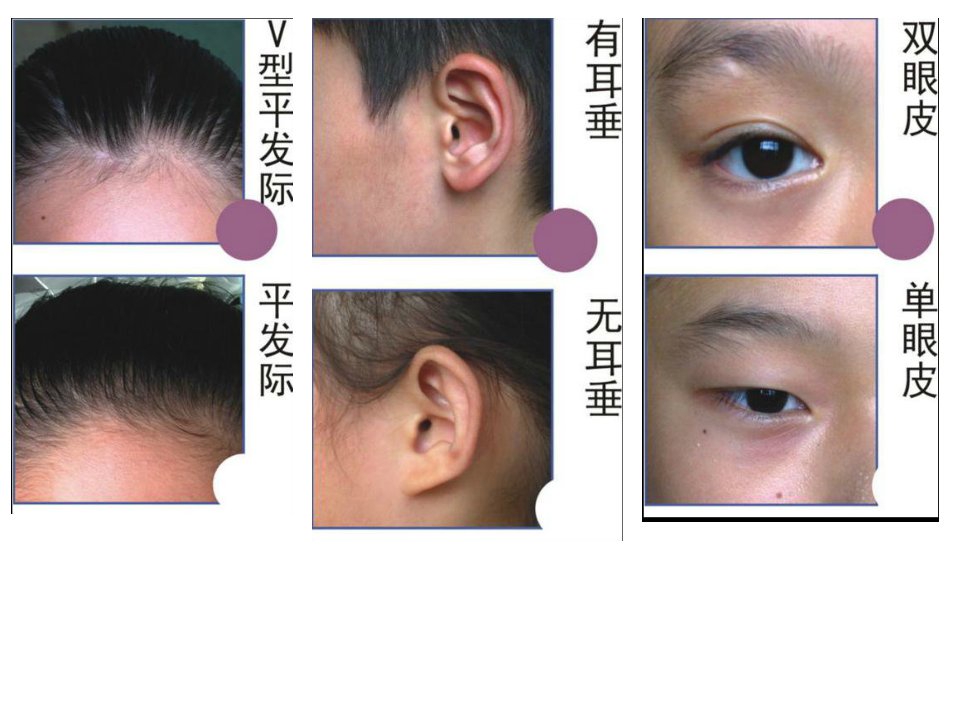 代代相传特征