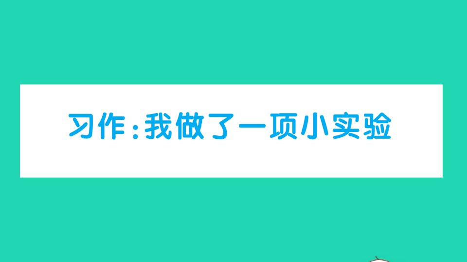 三年级语文下册第四单元习作我做了一项小实验作业课件新人教版