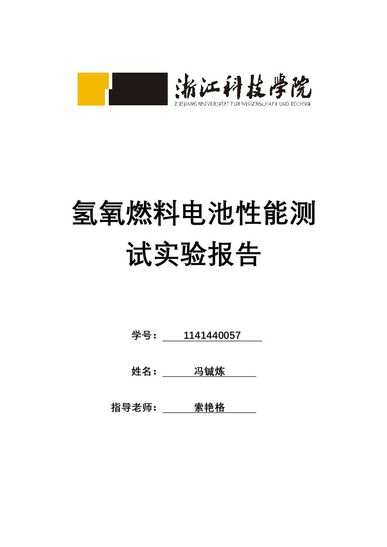 氢氧燃料电池性能测试实验报告