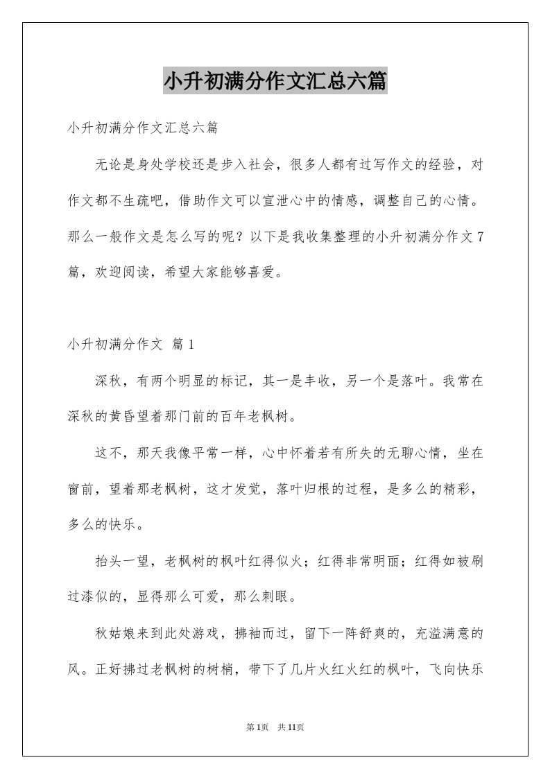 小升初满分作文汇总六篇例文