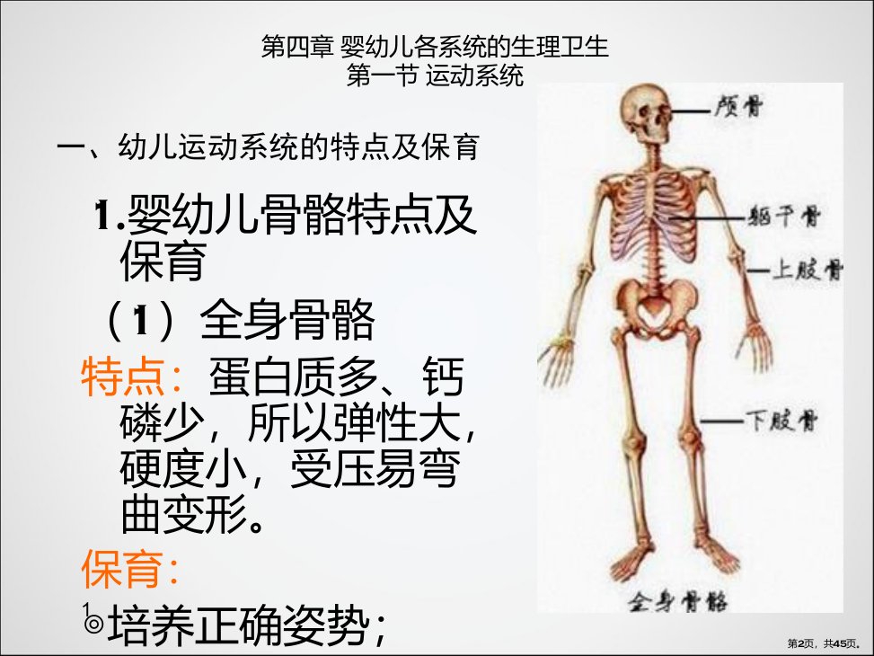 婴幼儿各系统的生理卫生PPT课件PPT45页