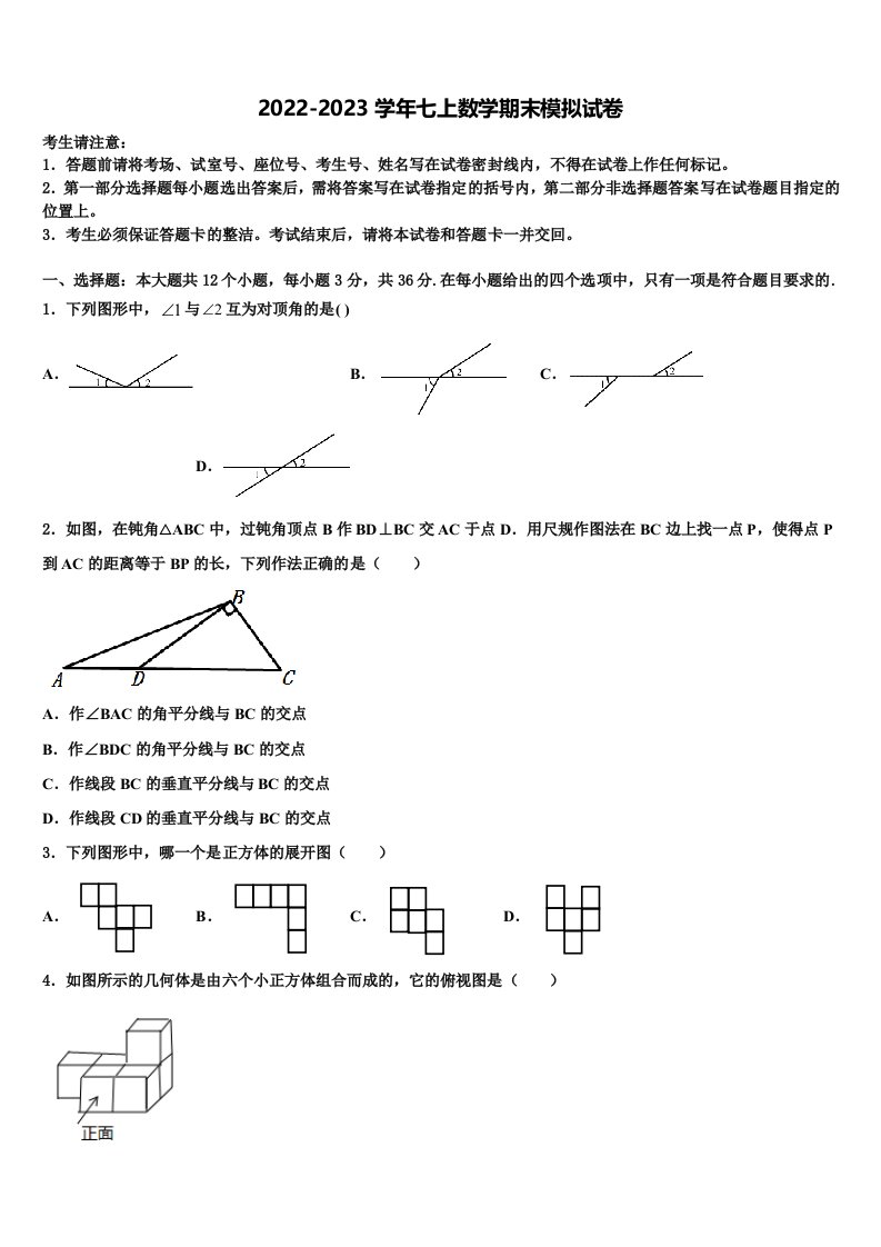 2022年湖南省长沙市麓山国际实验学校数学七年级第一学期期末监测试题含解析