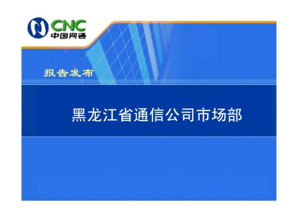 黑龙江省通信公司2003市场状况分析报告