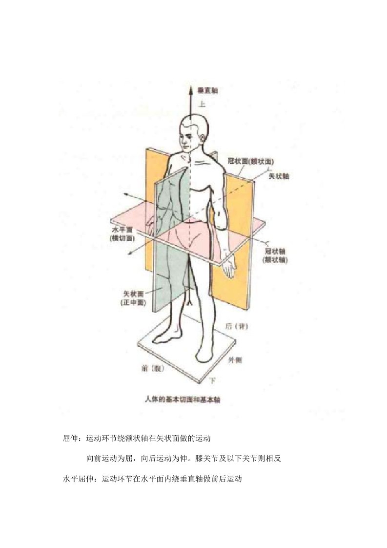 初级健身教练考试资料