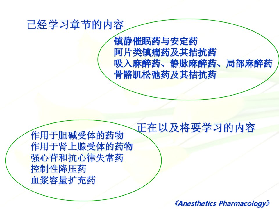 作用于肾上腺素受体的药物