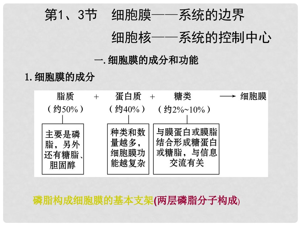 高考生物一轮复习