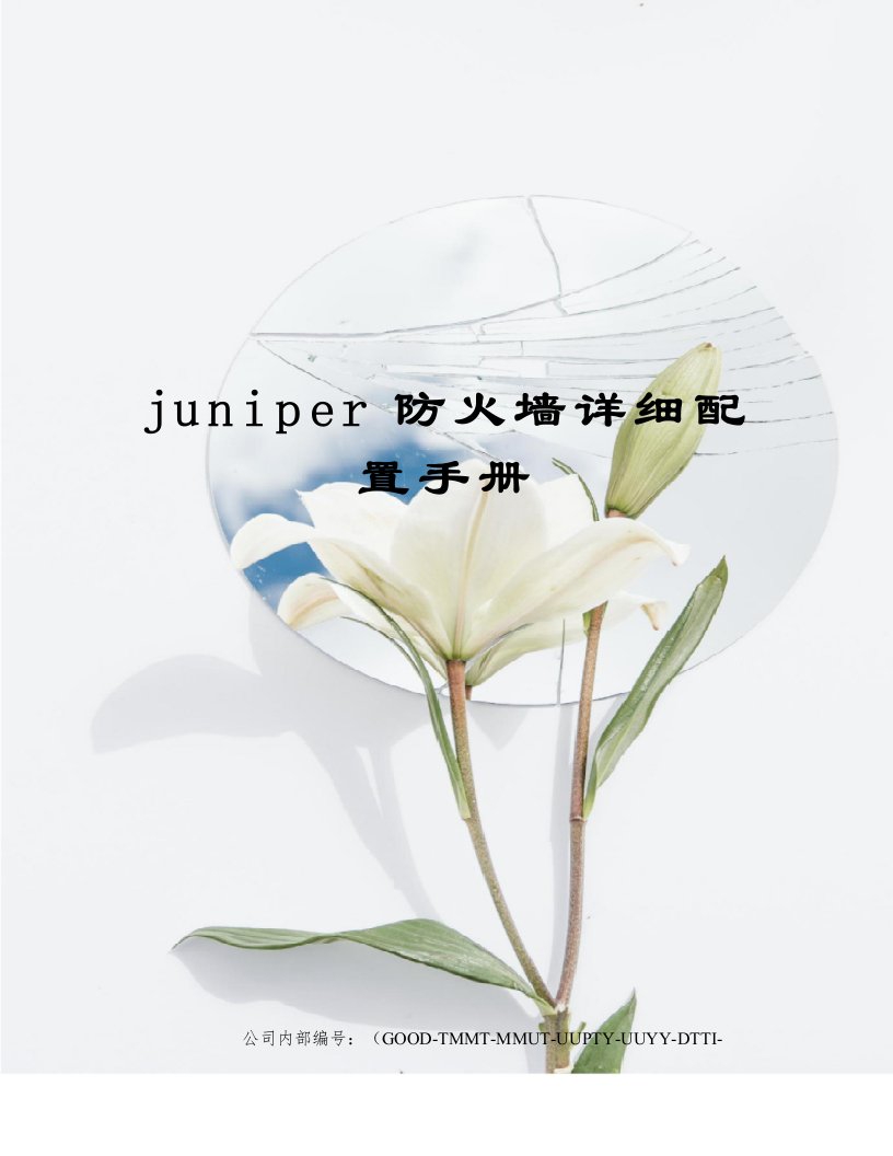 juniper防火墙详细配置手册