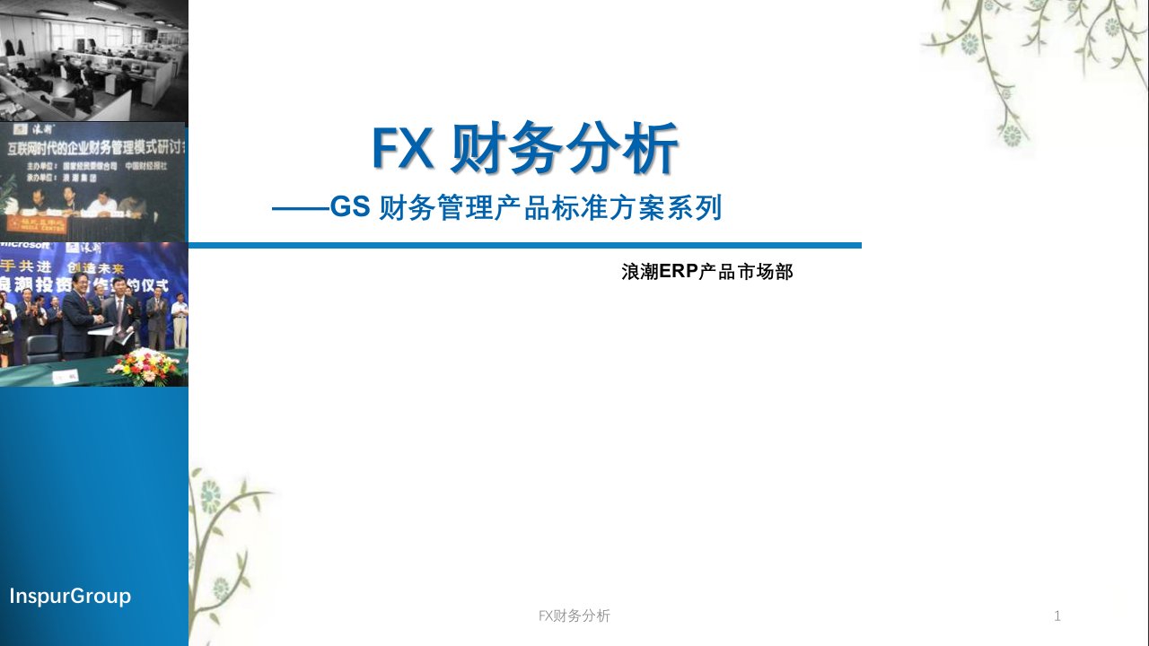 FX财务分析课件