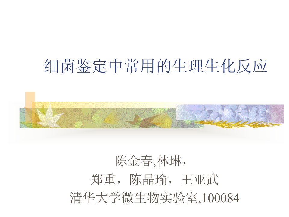 细菌鉴定中常用的生理生化反应（PPT21）-经营管理