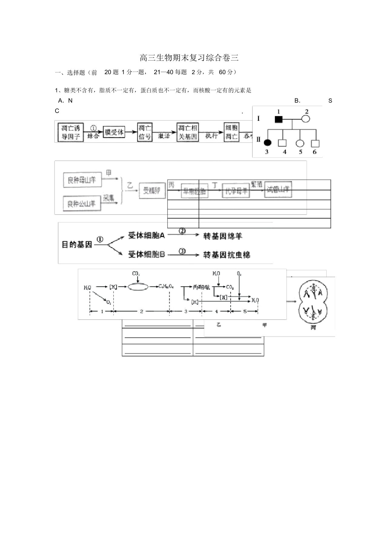 浙江省金华市孝顺高级中学高三生物期末复习综合试题三