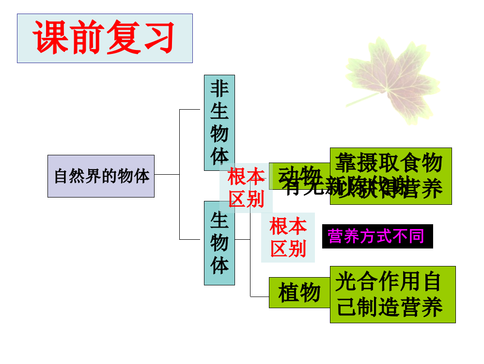 第125964号常见的动物3无脊椎动物ppt课件