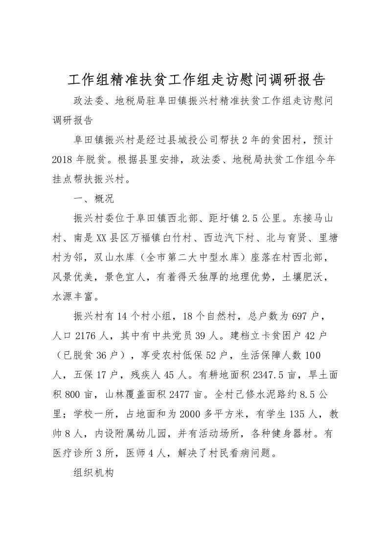 2022工作组精准扶贫工作组走访慰问调研报告