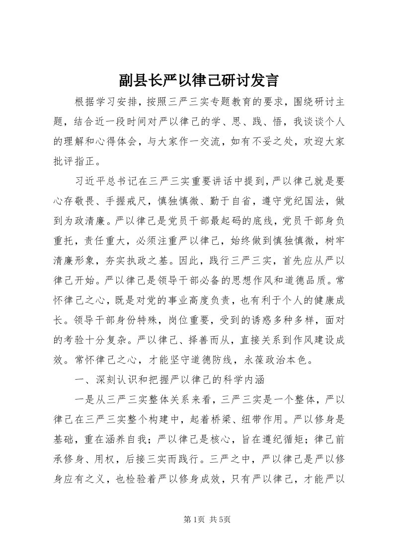 副县长严以律己研讨讲话