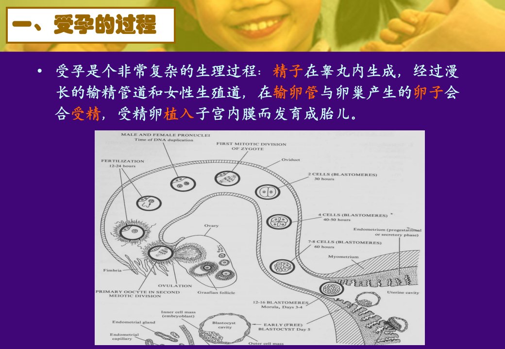 避孕方法的应用及进展ppt课件