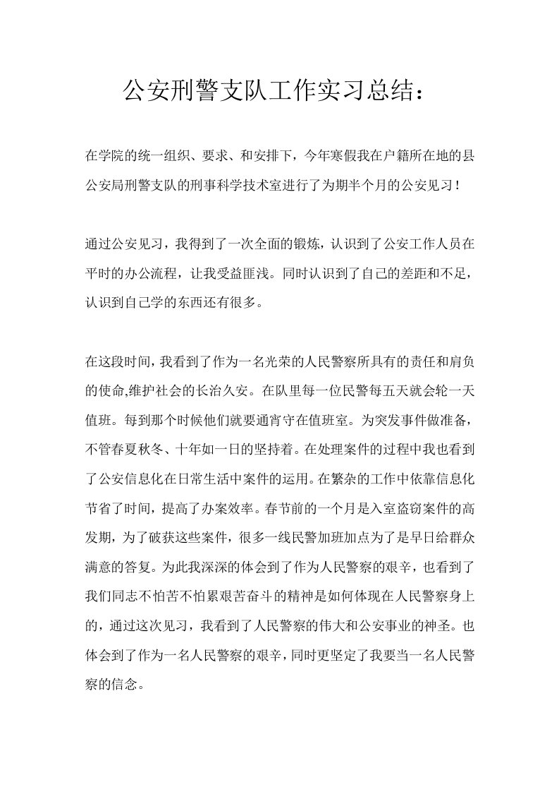 公安刑警支队工作实习总结