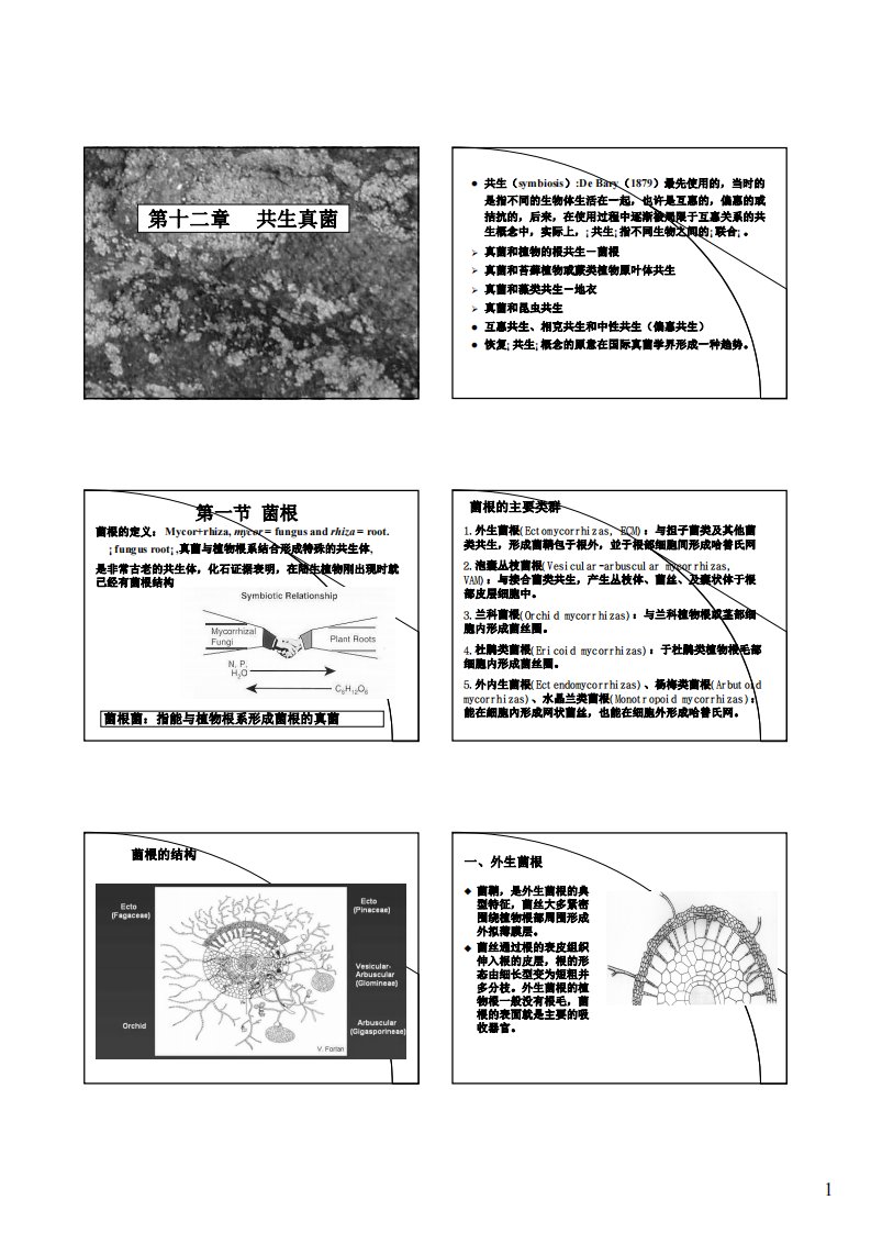 真菌学+第十二章——共生真菌和真菌病毒