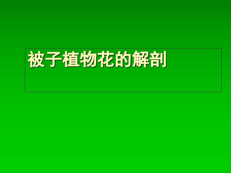 常见花的结构、特征及花程式