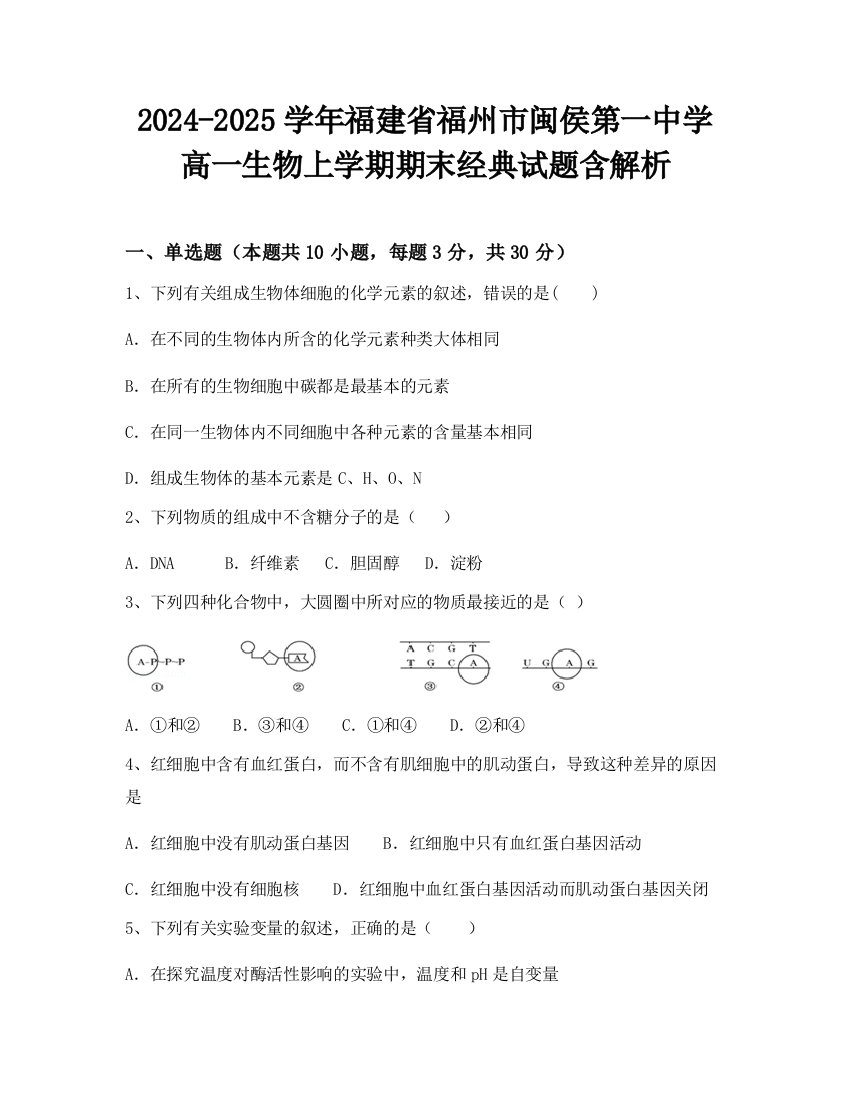 2024-2025学年福建省福州市闽侯第一中学高一生物上学期期末经典试题含解析